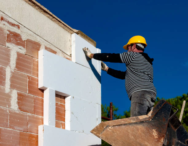 Best Insulation Maintenance and Repair in Bristol, VA