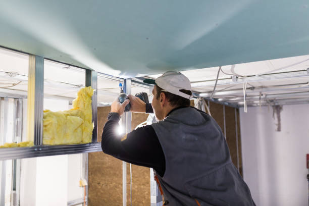 Best Commercial Insulation in Bristol, VA